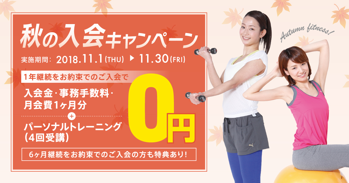 201811-campaign-top
