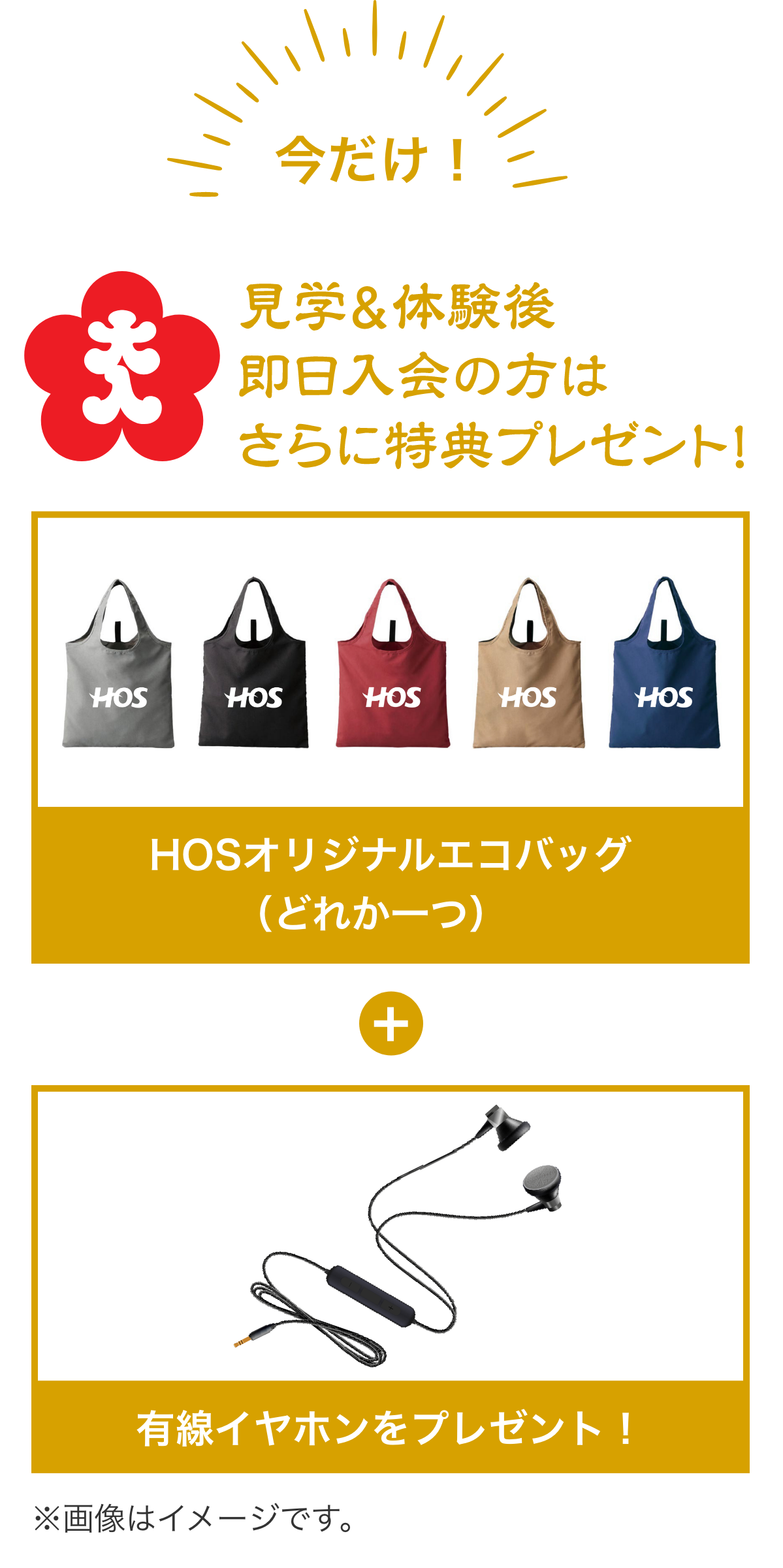 今だけ!見学&体験後即日入会の方はさらに特典プレゼント