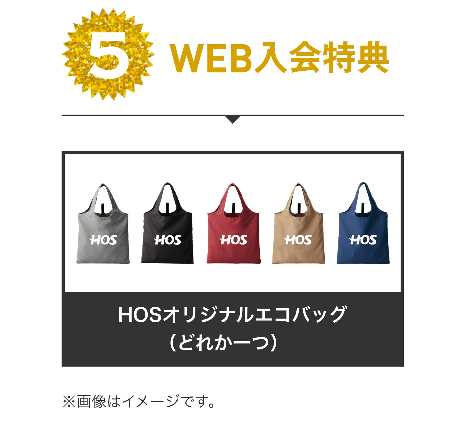 特典5 WEB入会特典