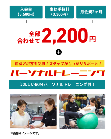初心者応援スタートプラン詳細